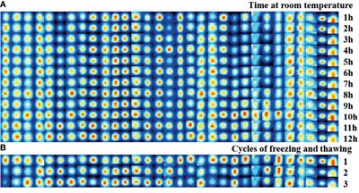 A Panel of Bile Volatile Organic Compounds Servers as a Potential Diagnostic Biomarker for Gallbladder Cancer